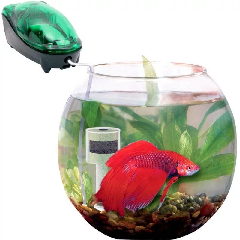 Aquael Gold Fish. Аквариум Aquael 20l. Аквариум Aquael для петушка. Аквариум акваэль круглый. Фильтр для аквариума для петушка