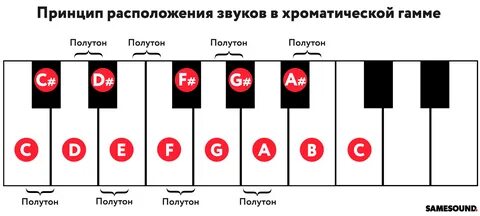 Гамма звуков это