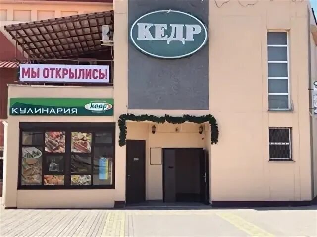 Кедр обнинск