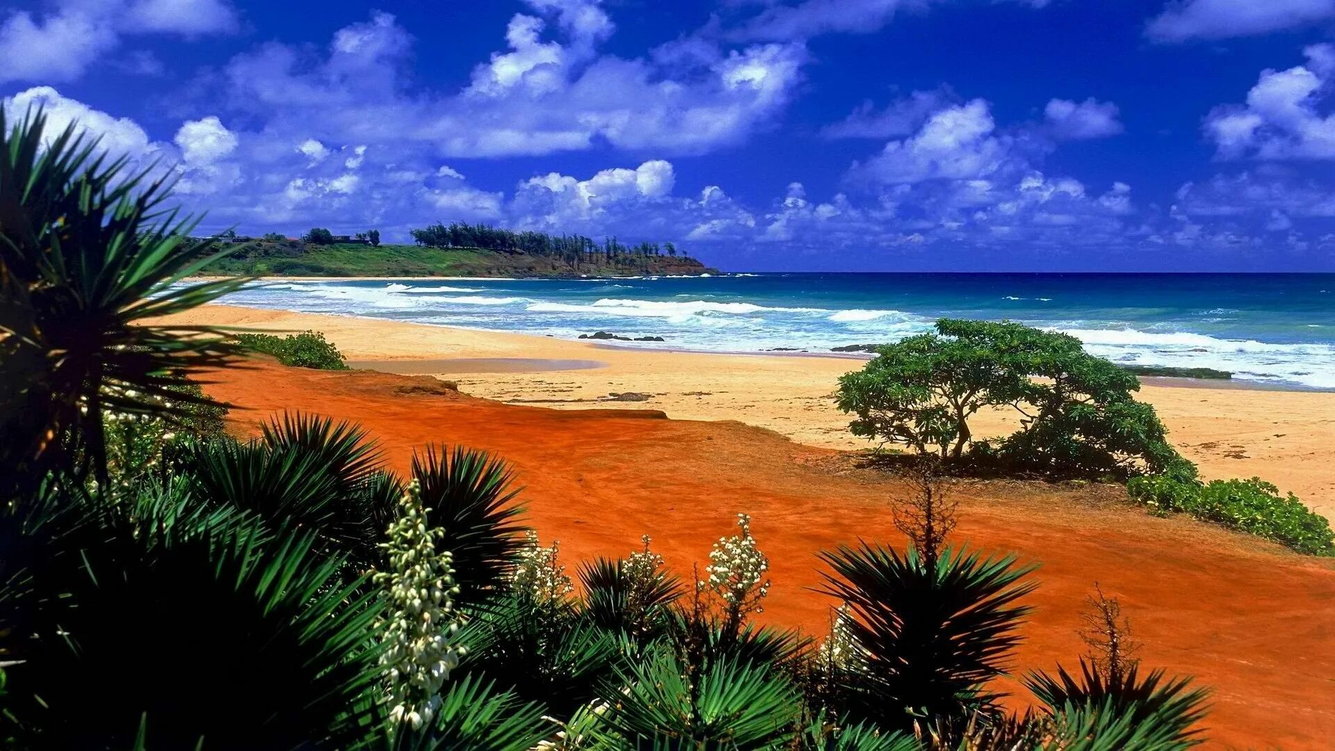 Экзотическая природа. Остров Кауаи, Гавайские острова. Пляж Сансет Бич Гавайи. Гавайи климат. АЛОХА Гавайи тропики.