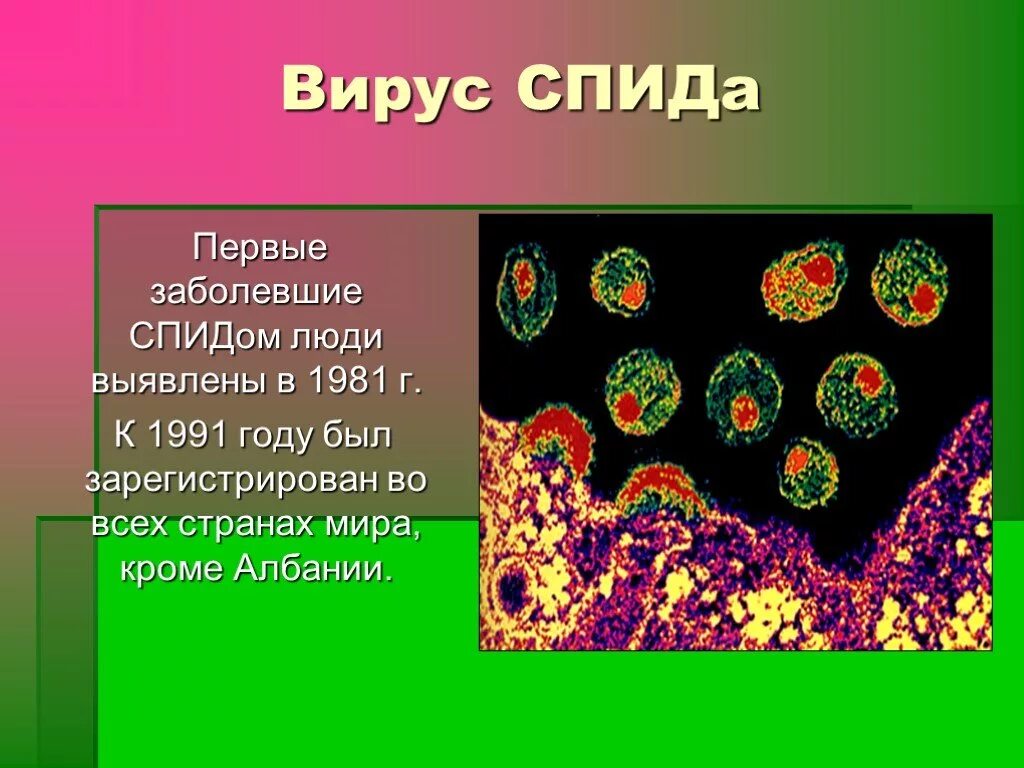 Ну спида. Вирус СПИДА. Вирус ВИЧ. СПИД картинки для презентации. ВИЧ 1 И ВИЧ 2.