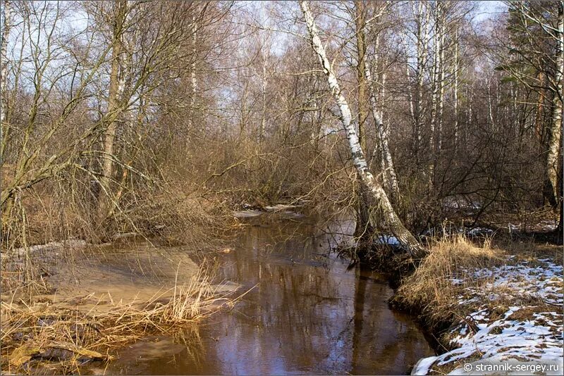 весенний разлив реки шерна. река светлиха. песня весенняя река. ранняя зима. весенние ручьи.