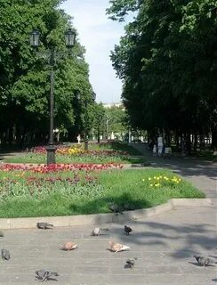 Аллея времени