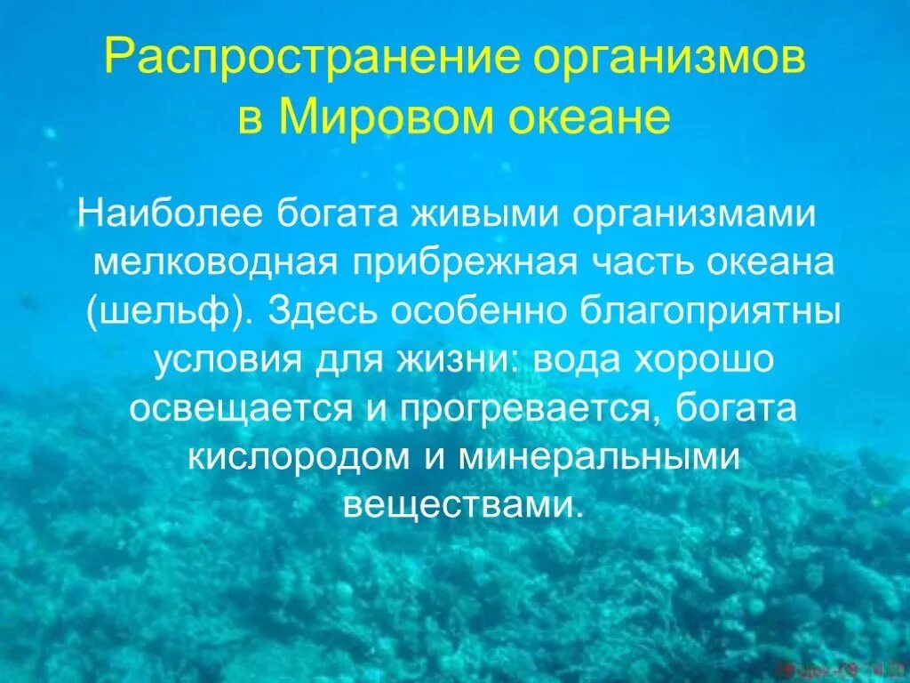 Особенности толще воды. Многообразие жизни в океане. Распространение жизни в океане 6 класс. Жизнь в океане презентация. Распространение организмов в мировом океане.