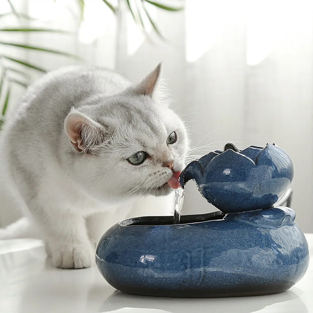 Фонтан для кошек. Поилка для котов фонтанчик. Фонтанчик для воды для кошек. Поилка фонтан для кошек. Поилка фонтан для кошек купить