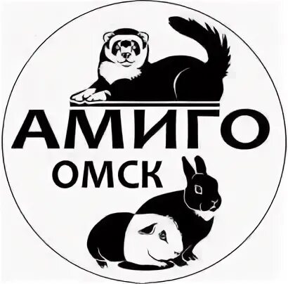 Амиго. Амиго. Браузер амиго мем. Амиго браузер логотип. Амиго шутки.