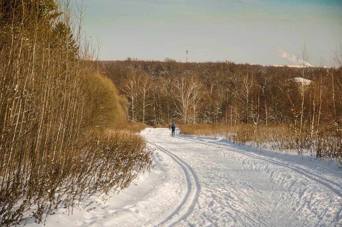 Битца лыжная трасса. Битцевский парк альфа-битца. Лыжня сквозь дерево. Альфа битца профиль трассы. Лыжная трасса битцевский лесопарк.