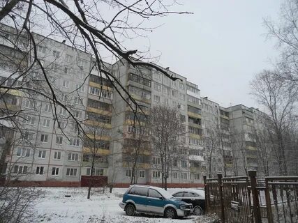 Брянск октябрьская улица 114 зеленый