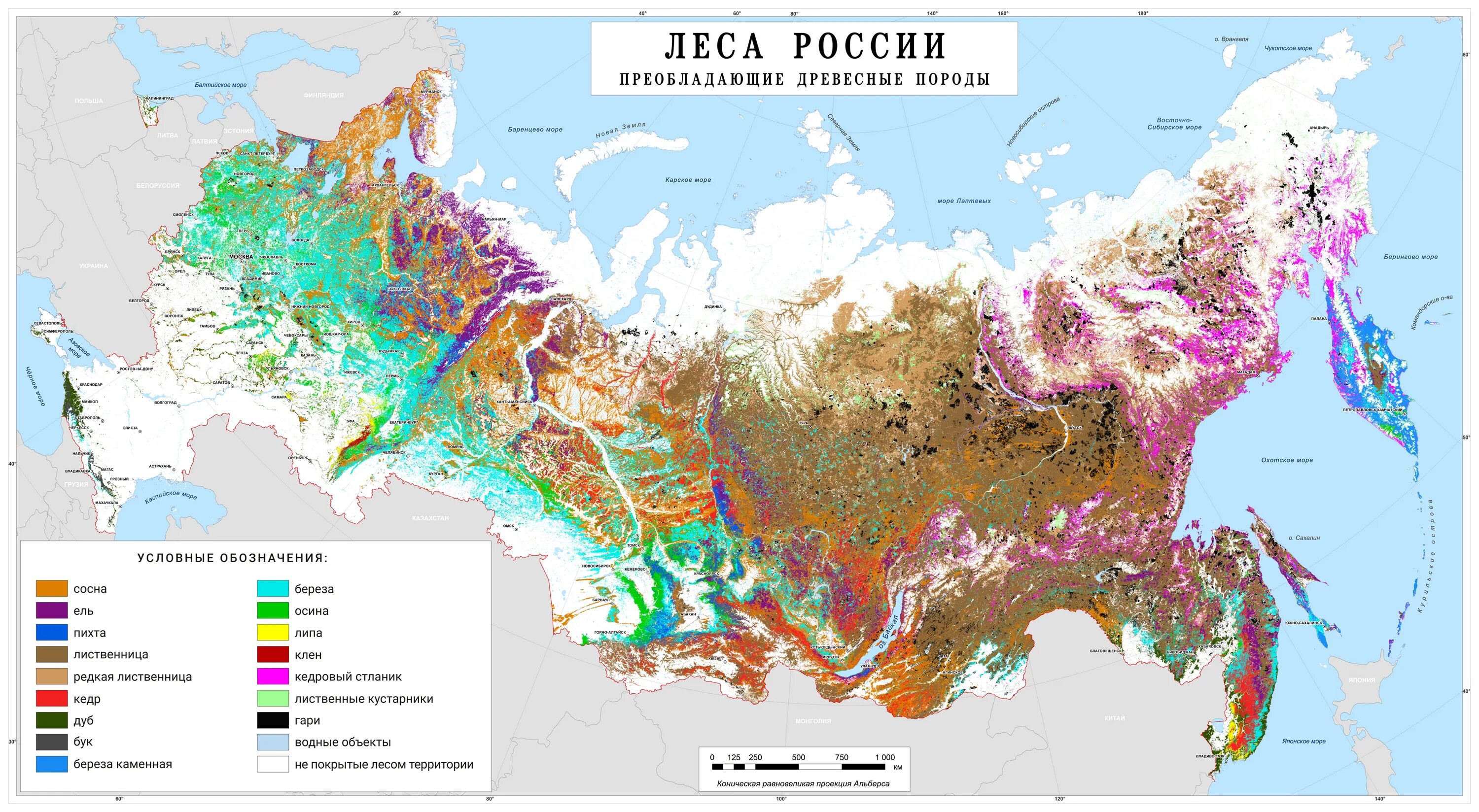 Преобладание лесов. Преобладание лесов