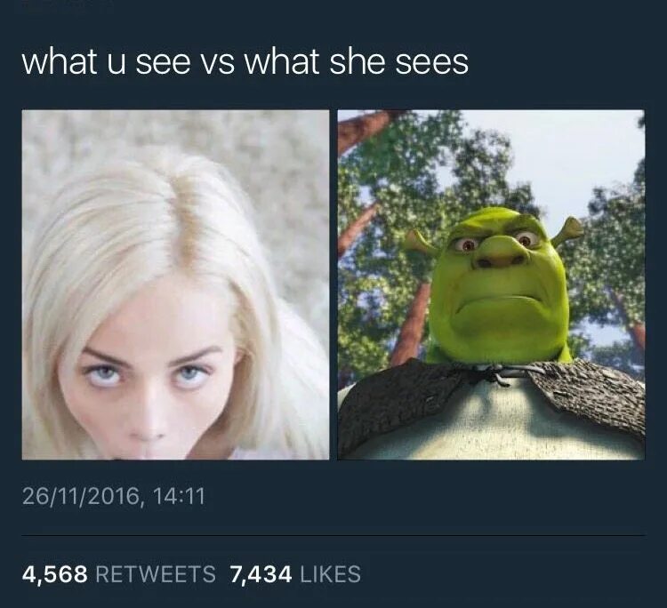 What she do today. Шрек what she sees. Мем what she see. Что видит она. What you see what she sees.