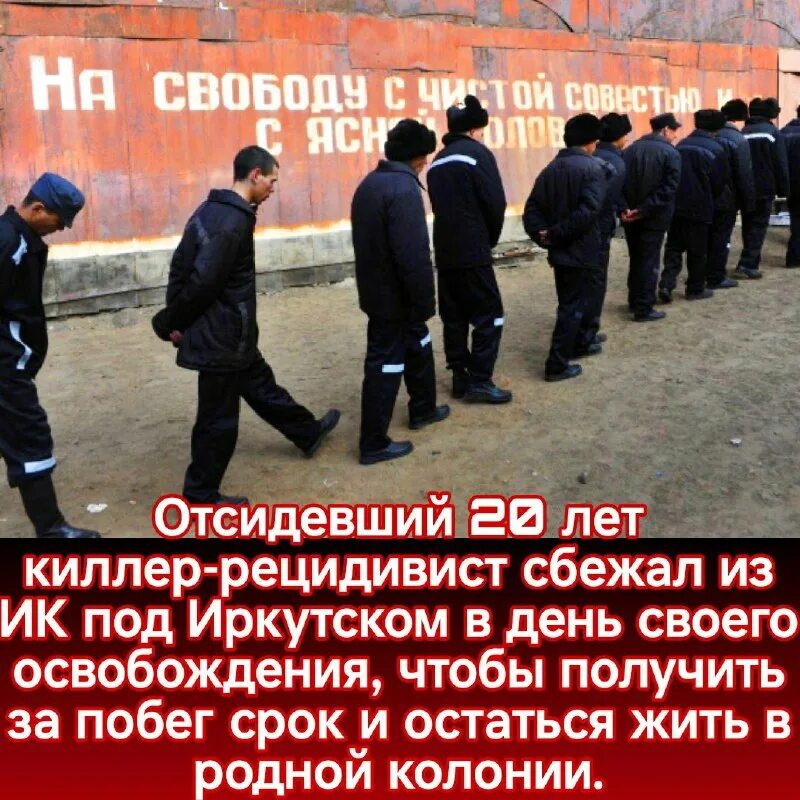 Амнистия 2023 по уголовным делам последние новости. Амнистия в рф 2022. Амнистия в 2021 году. Амнистия по уголовным делам в 2024. Амнистия по уголовным делам в 2024.