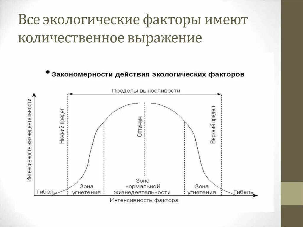 Экономическое развитие экологический фактор. Количественная характеристика экологических факторов.. Схема влияние экологических факторов на растения. Закономерности действия экологических факторов на организм схема. Схема экологических факторов воздействия на экосистему.