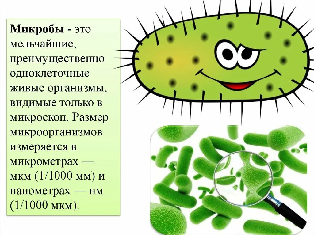 Микробы. Микроорганизмы для детей. Микробы и бактерии. Микробы и бактерии для детей. Бактерии урок 7 класс