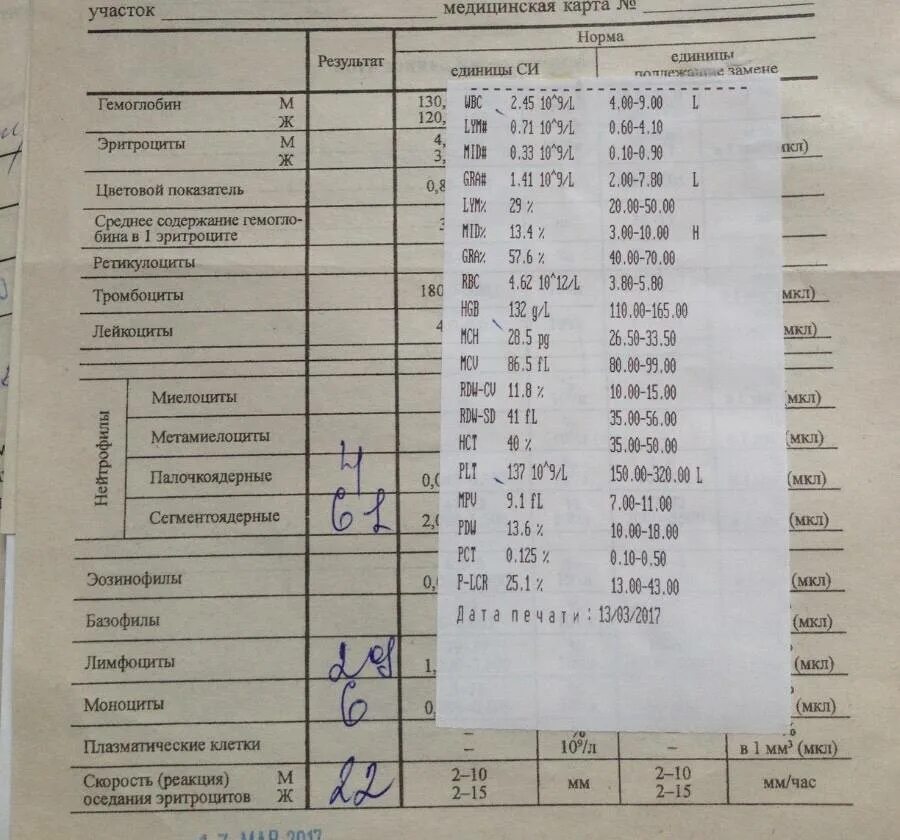 Норма букв. Эозинофилы в анализе крови норма. эозинофилы расшифровка анализа крови. общий анализ крови эозинофилия. эозинофилия в крови общий анализ крови.