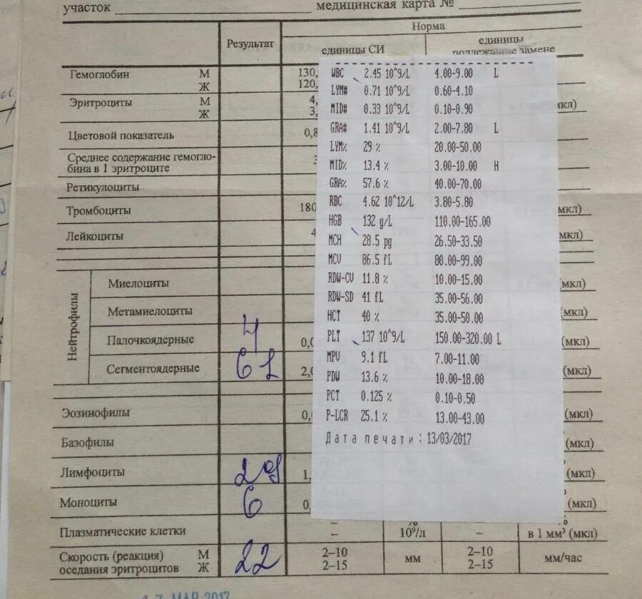 Эозинофилы в анализе крови норма. Общий анализ крови эозинофилия. Эозинофилия в крови общий анализ крови. Как обозначаются эозинофилы в анализе крови. Эозинофилы в крови обозначение