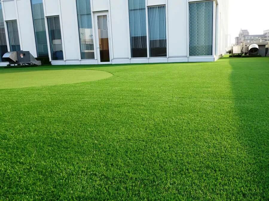 Газонная трава. Газон с41а23. Озеленение промышленных предприятий. Газон полевица. Газон элитный партерный.