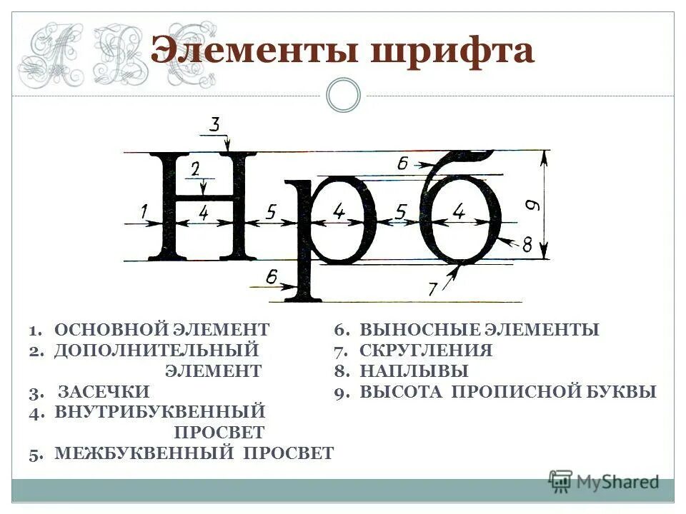 Высота букв шрифта называется. Основные элементы шрифта. Элементы шрифта названия. Элементы букв в шрифтах. Элементы строения шрифтов.