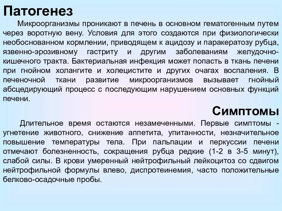 Недостаток цинка у животных. Паракератоз что это значит. Паракератоз в мазке на цитологию. Паракератоз что это значит. Паракератоз что это значит.