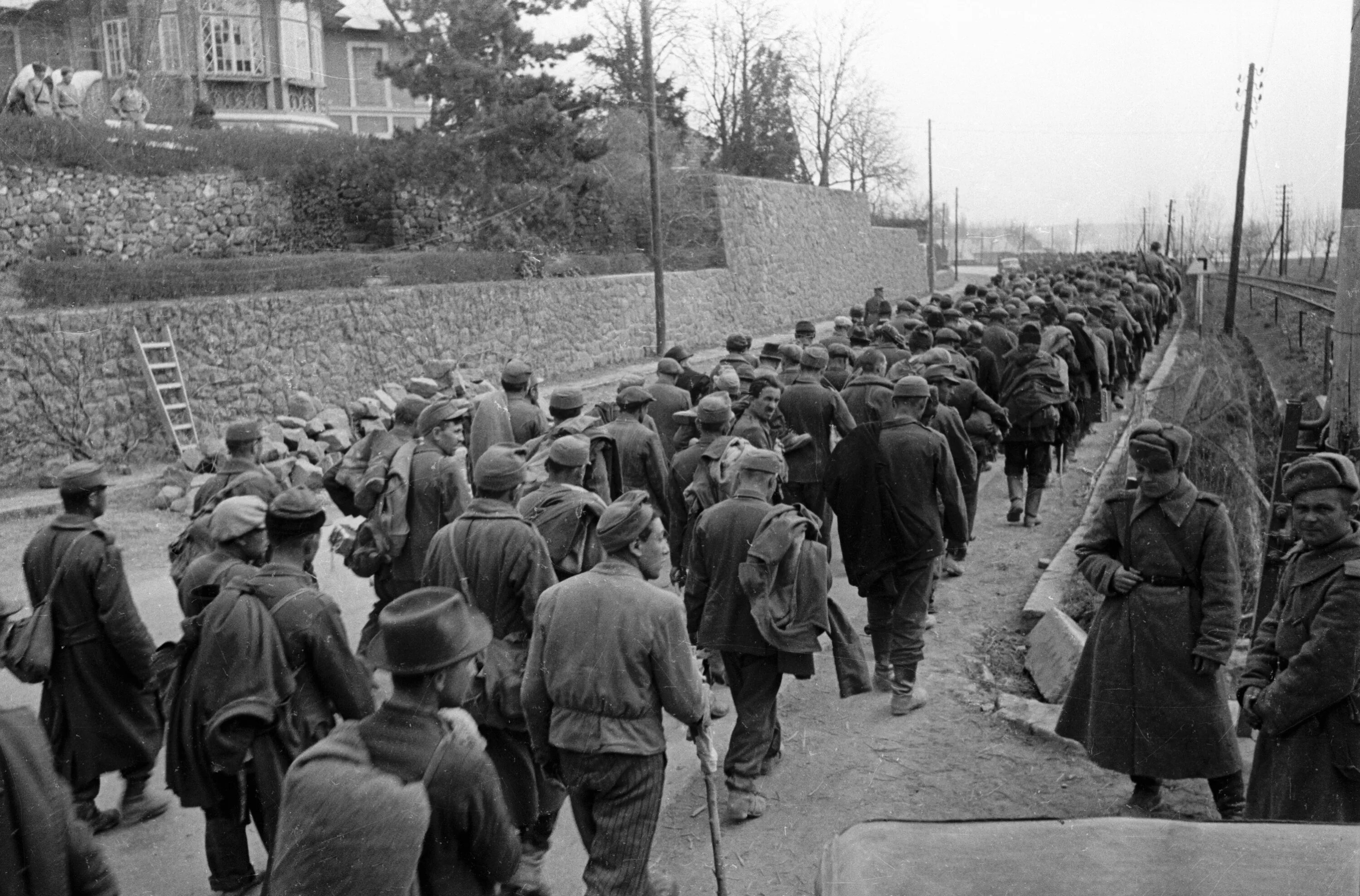 Пленные немцы Будапешт 1945. Венгерские солдаты Балатон 1945 г. Венгерские военнопленные 1945. Венгерские солдаты Будапешт 1944. Венгерские военнопленные
