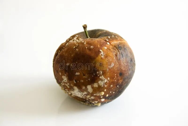 Два яблока. Одно плохое яблоко 2024. Яблоко. Испорченное яблоко. Одно плохое яблоко 2024.