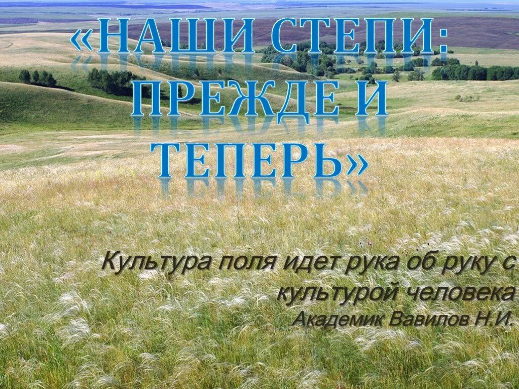 Наши степи прежде и теперь. Проект по географии 5 класс степи. Наши степи прежде и теперь картинка. Портрет Российской степи география презентация.