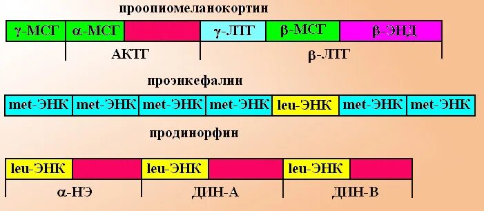 Ltg 305. Ltg-305 бандаж поясничный. Корсет пояснично-крестцовый с дополнительным поясом orliman ltg-305. Ортопедический корсет ltg-305. Ltg 305.