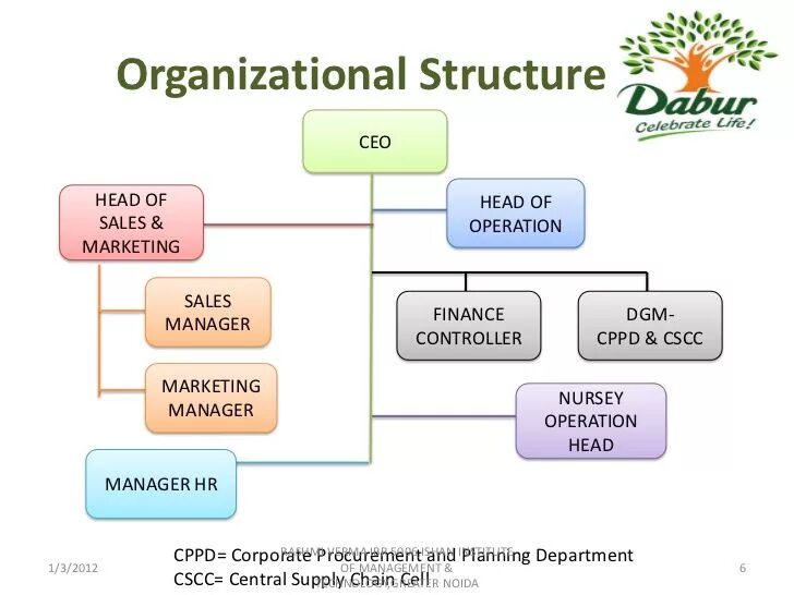 Organizational sales structure. Marketing and sales structure. Sales Department. Sales Department structure.