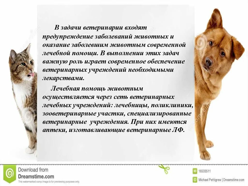 Ветеринария и зоотехния. Сообщение о ветеринаре. Ветеринария ударение. Ветеринария ударение. Ударение.