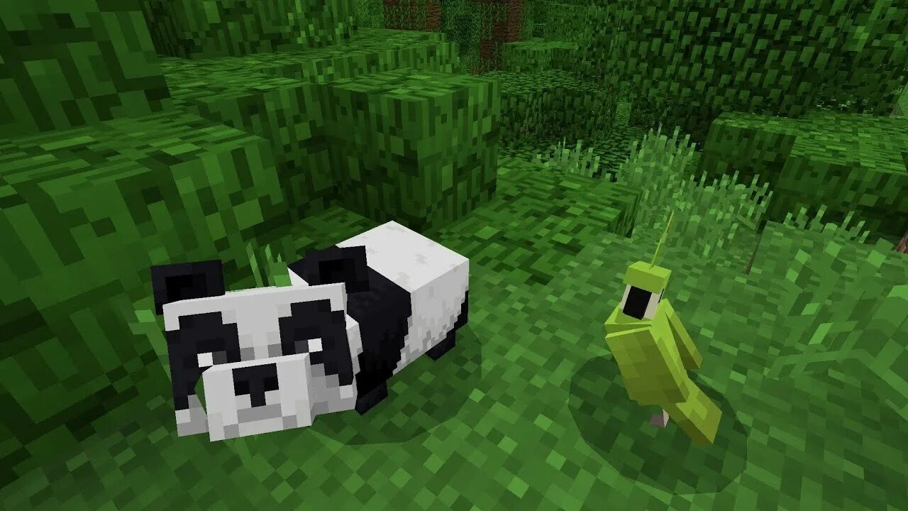 9pandas entity 9pandas entity 2025 10 13