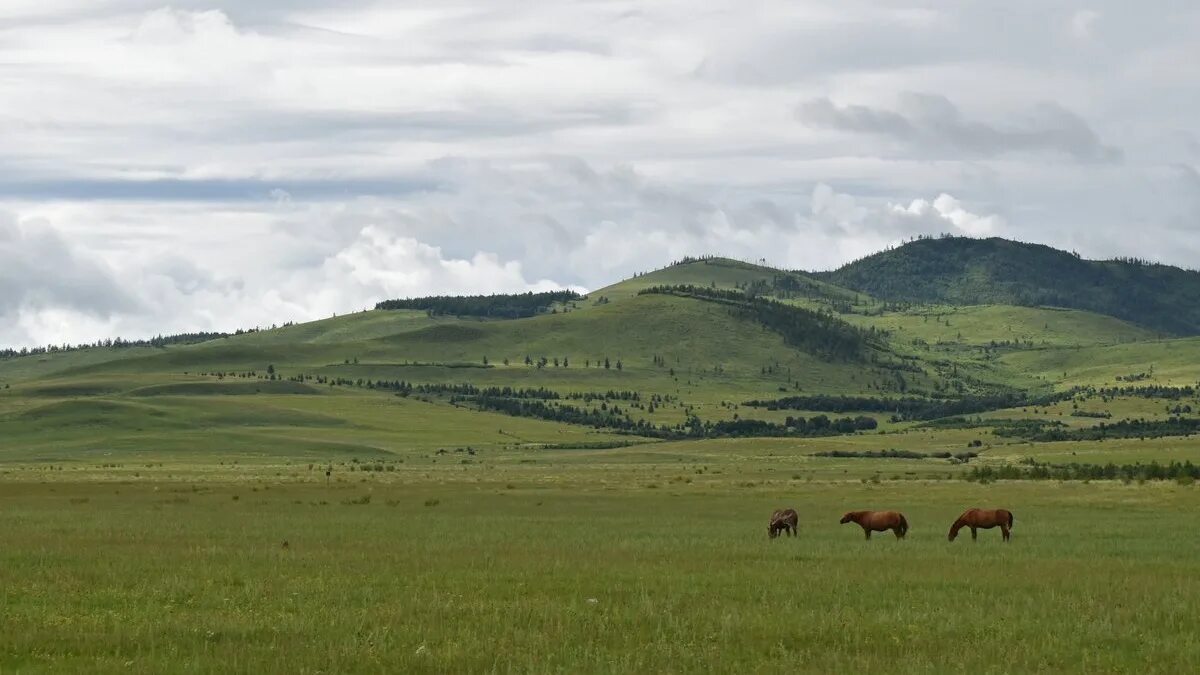 Кыринский район Забайкалья. Село Алтан Кыринского района Забайкальского края. Кыра Кыринский район. Село Мангут Кыринского района Забайкальского края.