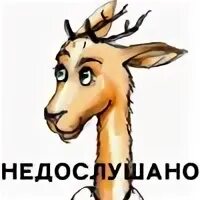 Не дослушанная песня. Дослушанный. Девушка в звукозаписывающей студии. Треножник мем. Писать по музыке.