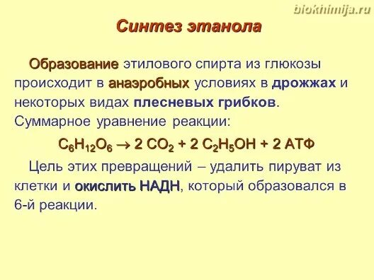 Образование этилового спирта. Образование этанола. Что называется стандартной теплотой образования этанола.