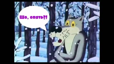 Заявка Гойхмана или палка в колесо - Нижний сейчас