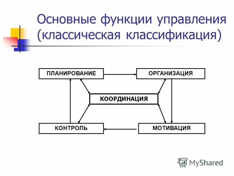 Организация и ее основные функции