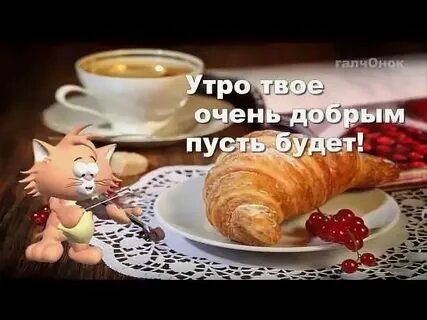 Видео для ватсап с пожеланиями