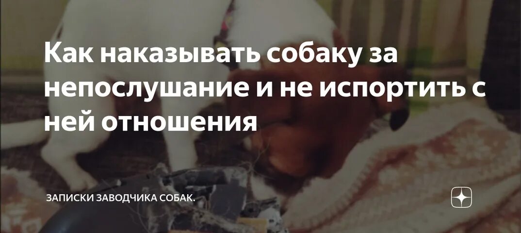 Как наказать собаку за непослушание. Как правильно наказывать собаку. Как наказывать щенка за непослушание. Можно ли наказывать собаку физически за непослушание. Собаку оштрафовали