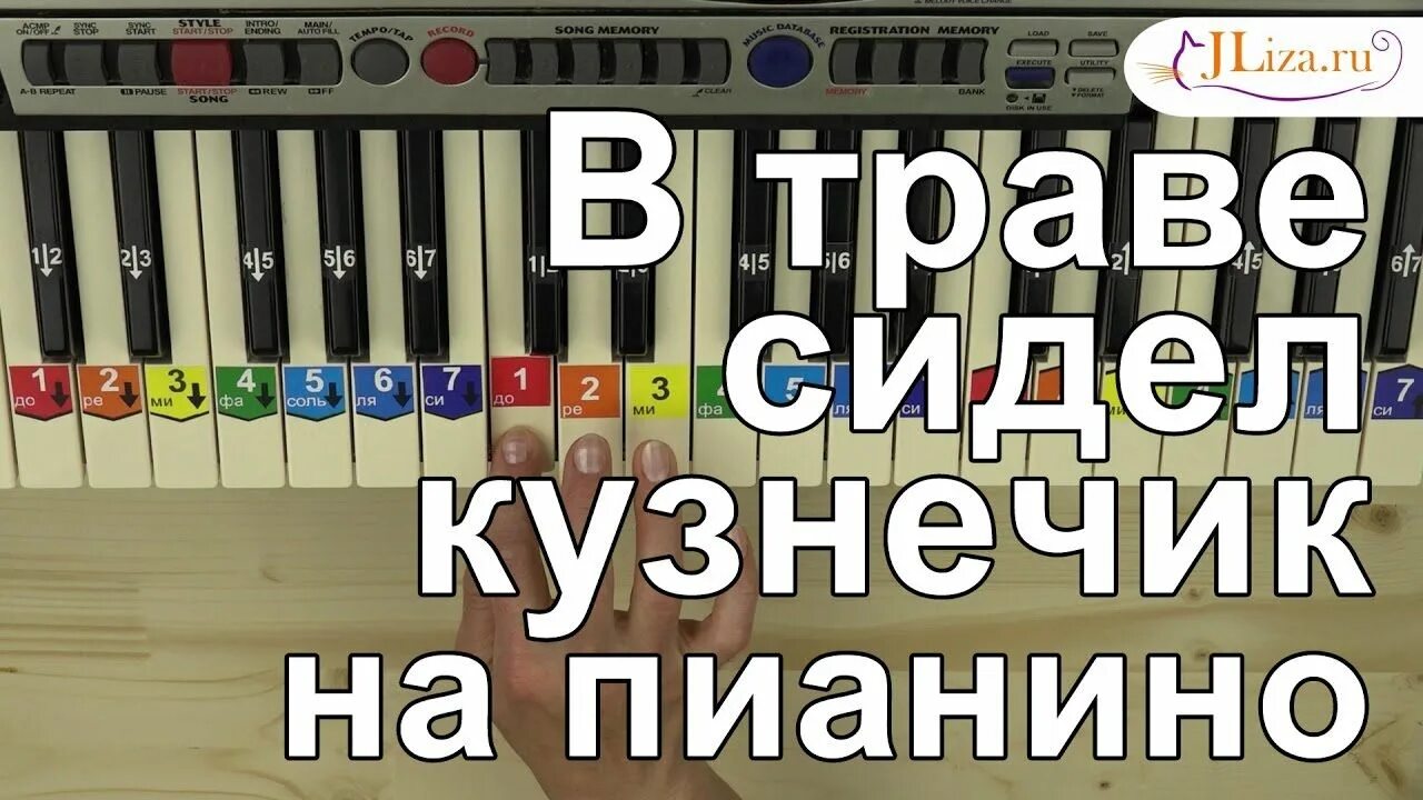 Ноты песни в траве сидел. В траве сидел кузнечик на пианино. Кузнечик на пианино. Кузнечик на детском пианом. Кузнечик на детском синтезаторе.