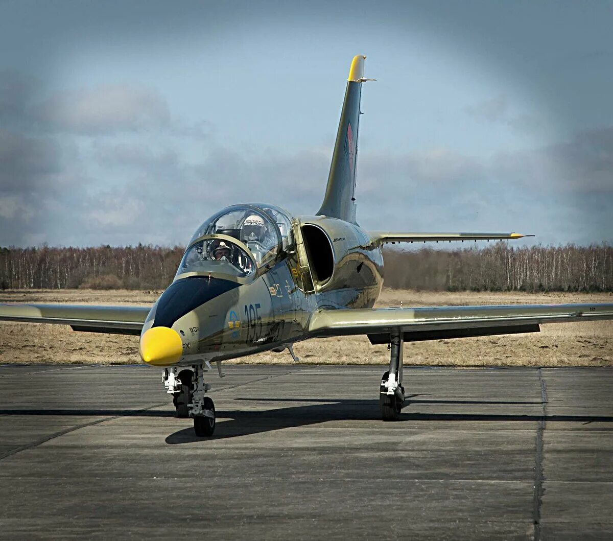 Л-39 альбатрос. Aero l-39ng. L-39 albatros самолет. Л-39 альбатрос. Aero l-39c albatros.