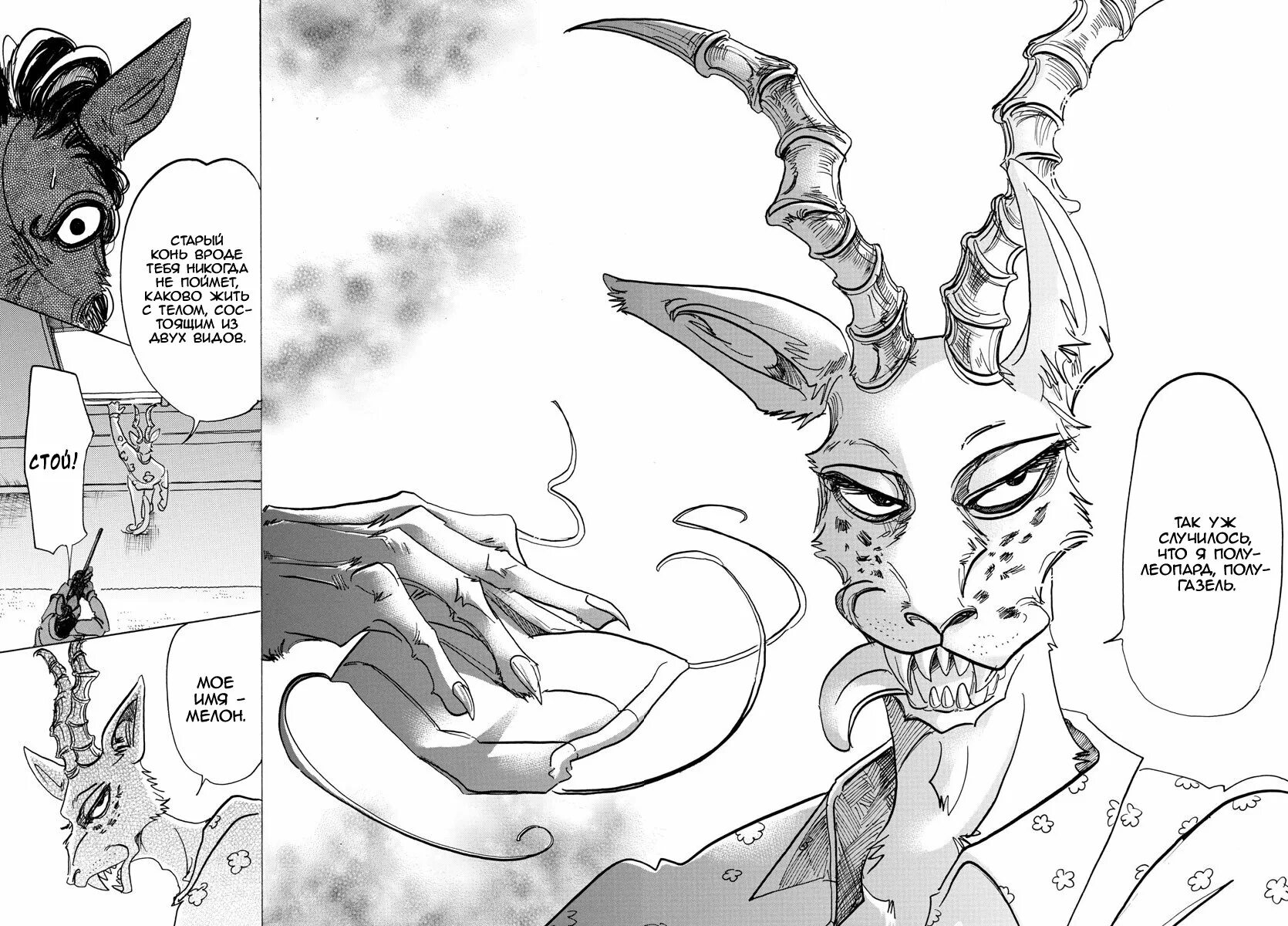 Гоша бистарс. Beastars мерон. Бистарс агата. Мелон выдающиеся звери. Мелон выдающийся звери.