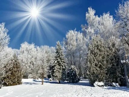 Яркое солнышко светит снег