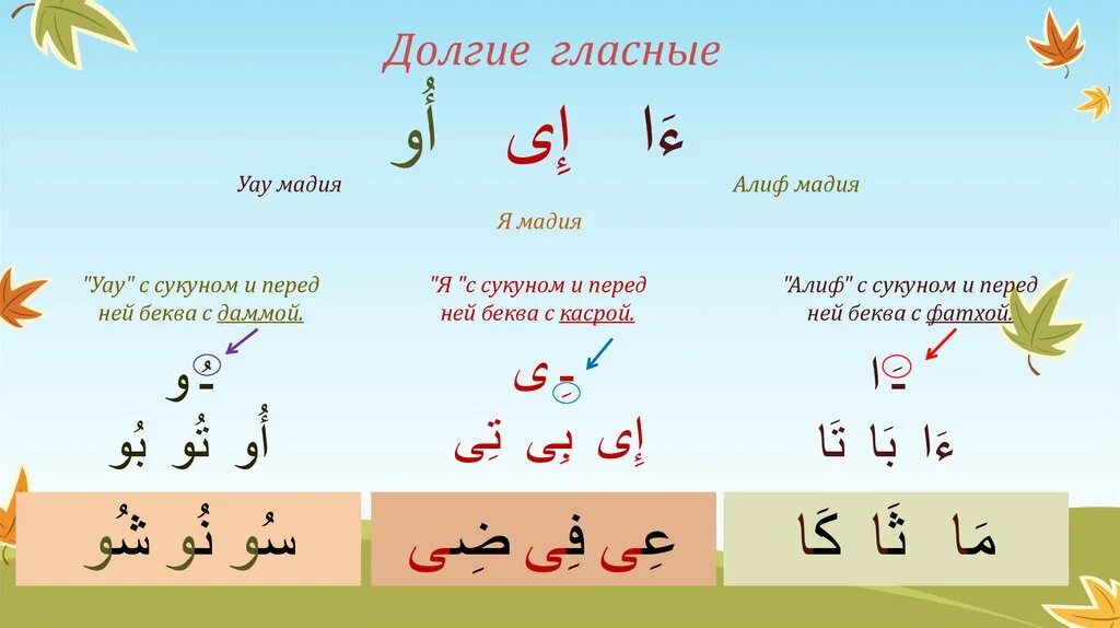 Мадд Алиф. Танвин с алифом. Солнечные и лунные буквы в арабском языке. Солнечные и лунные буквы арабского алфавита. Сукун в арабском