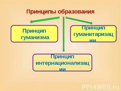 Принцип образования в течении всей жизни