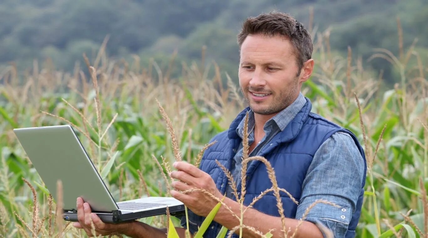 начинающий агроном. агроном. начинающий агроном. агроном в поле. комбайн в поле и агроном.