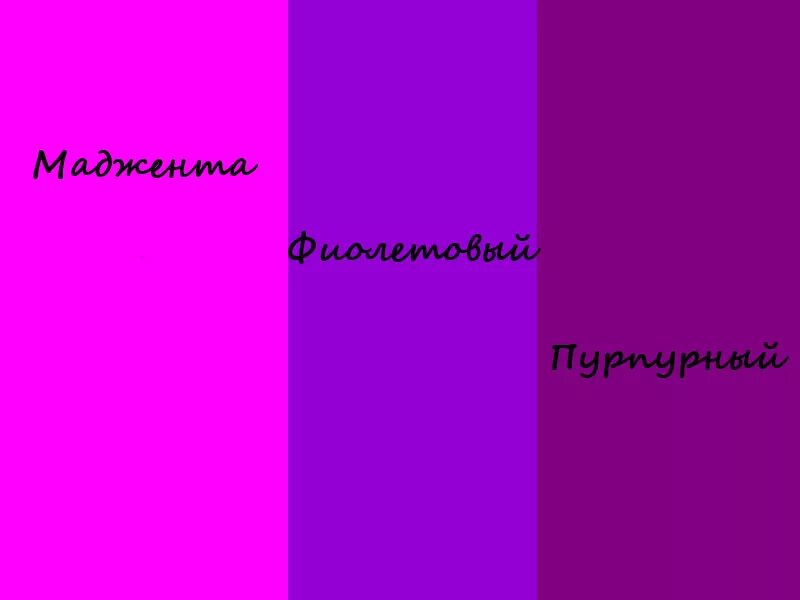 Розово фиолетовый цвет название. Пурпурно лиловый цвет. Пурпурно фиолетовый цвет. Сиренево пурпурный цвет. Пурпурный маджента цвет.