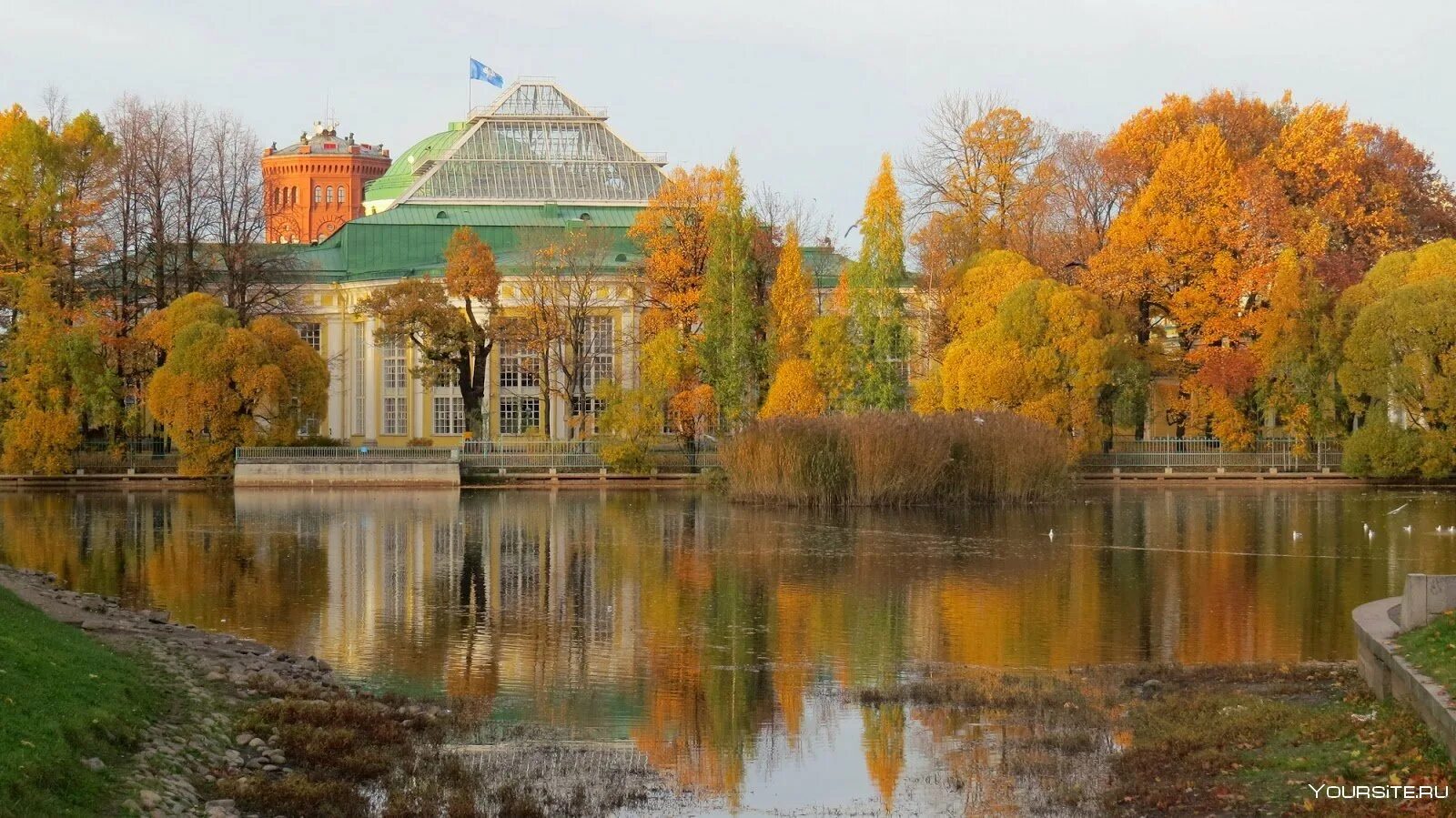 Царское село лицей парк. Дворец ветра и золотой осени. Екатерининский парк царское село осень. Гатчинский дворец дворцовый парк. Гатчина гатчинский дворец осенью.