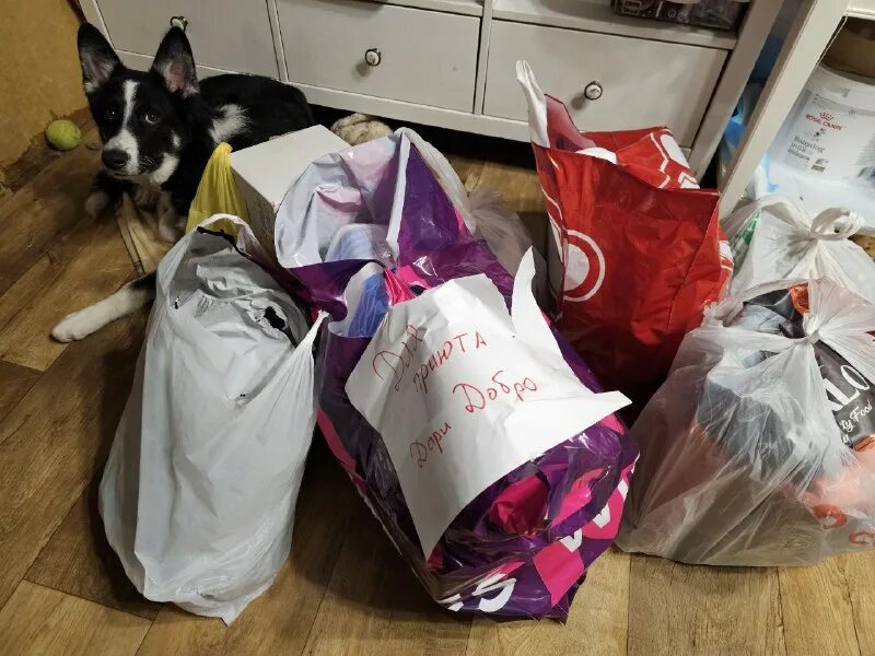 дари добро приют новосибирск