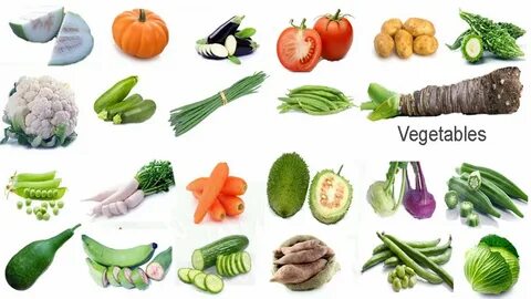 Vegetables meaning