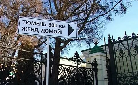 Женю домой