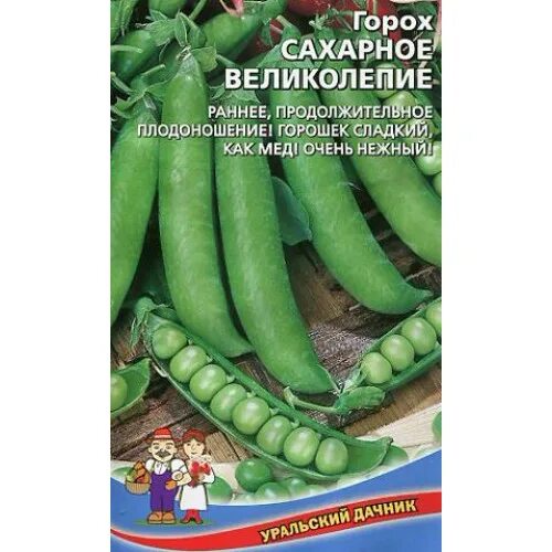 Горох премиум описание сорта. Уд сахарный. Горох сахарный. Уд сахарный. Горох сахарный малыш (уд).