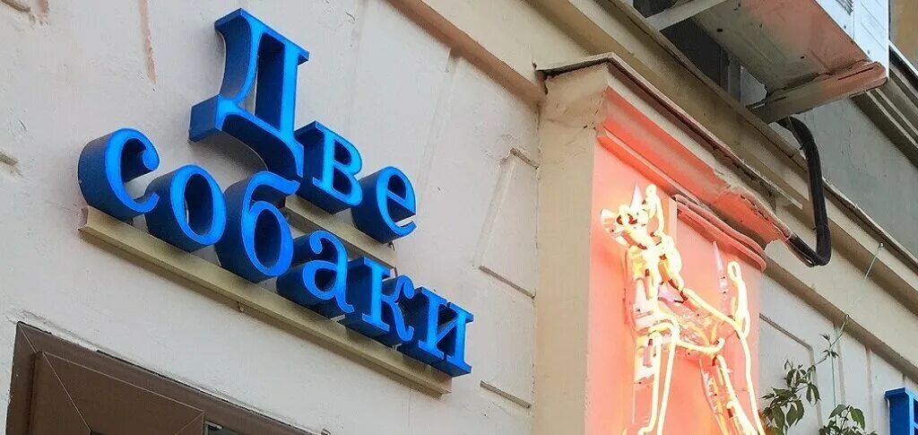 Две собаки ул фридриха энгельса 20 фото Две собаки, ветеринарная аптека Воронеж, Фридриха Энгельса, 20 телефон, адрес,